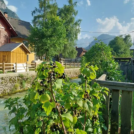 Appartement Apartma Praprot