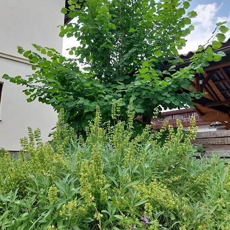 Apartman Apartma Praprot Mojstrana