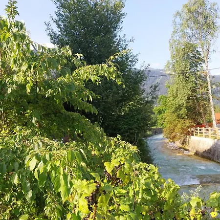 Apartma Praprot Apartman