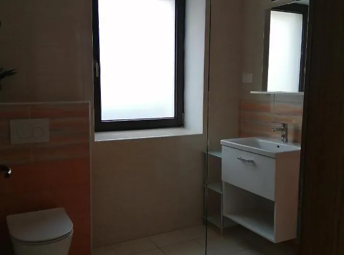 Apartma Praprot * מויסטראנה