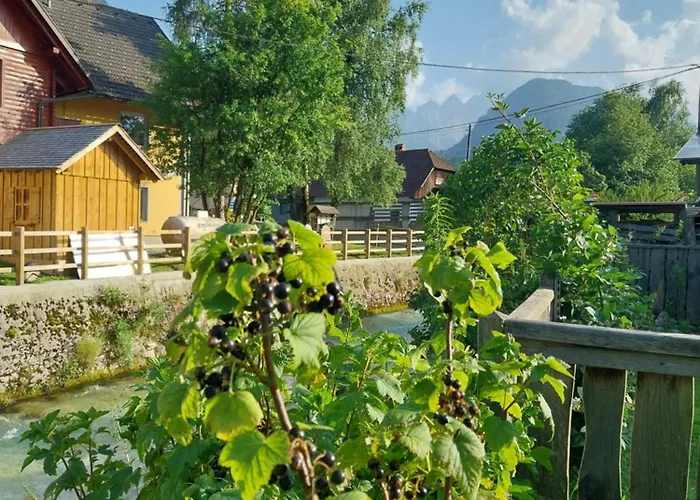 דירה Apartma Praprot