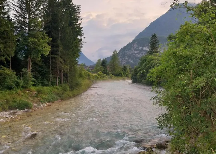 Apartma Praprot דירה מויסטראנה