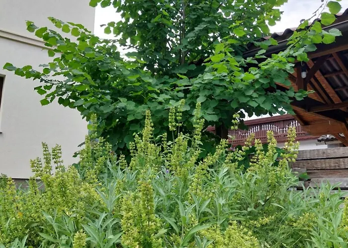 דירה Apartma Praprot מויסטראנה