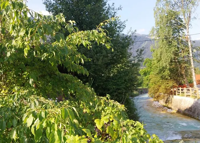 Apartma Praprot דירה